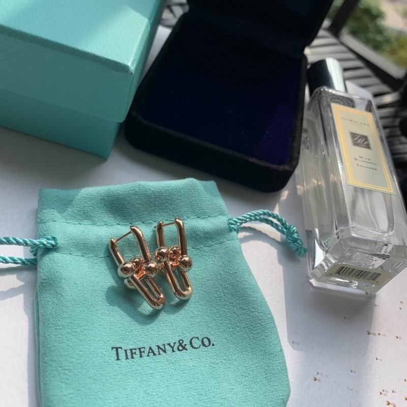 Tiffany Interlocking Rectangular Link Earrings