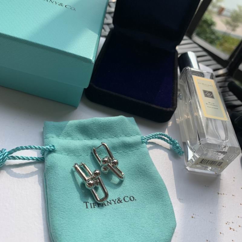 Tiffany Interlocking Rectangular Link Earrings