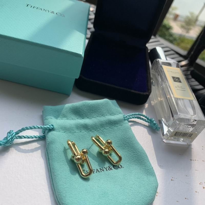 Tiffany Interlocking Rectangular Link Earrings