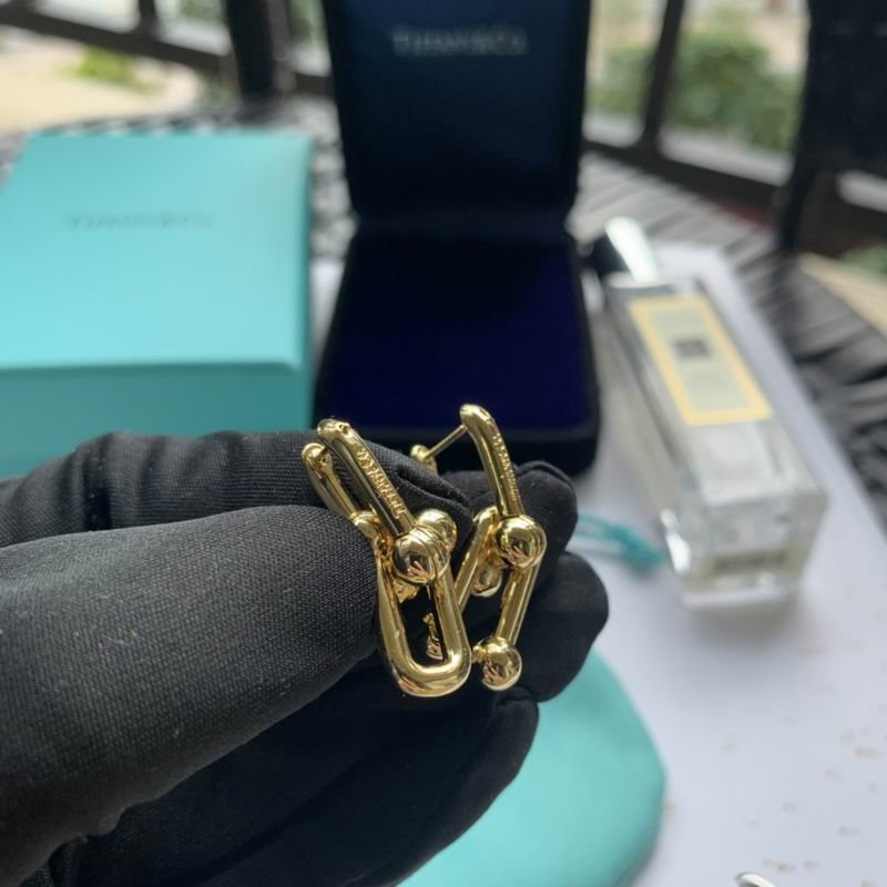 Tiffany Interlocking Rectangular Link Earrings