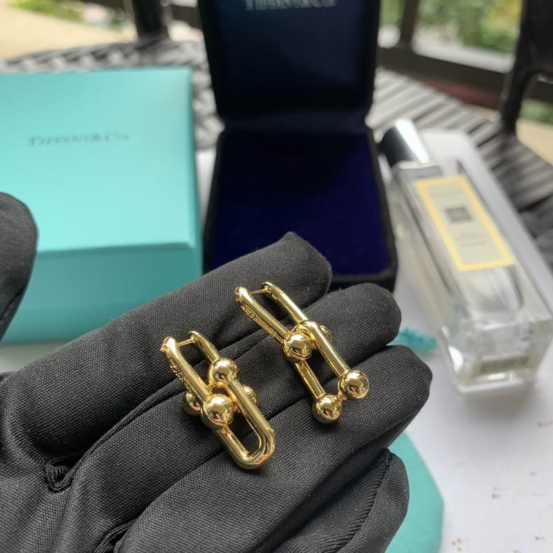 Tiffany Interlocking Rectangular Link Earrings