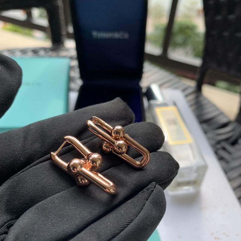 Tiffany Interlocking Rectangular Link Earrings