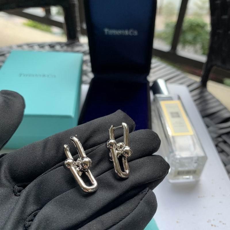 Tiffany Interlocking Rectangular Link Earrings
